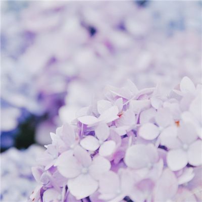 英雄神枪手手游下载
